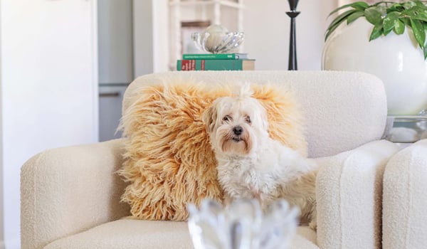 417Mag_Jan26_Home_Collected_coJanaeHardy_3.Houseof417