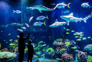 WOW-staycation-sweepstakes-prize